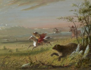 The Grizzly Bear